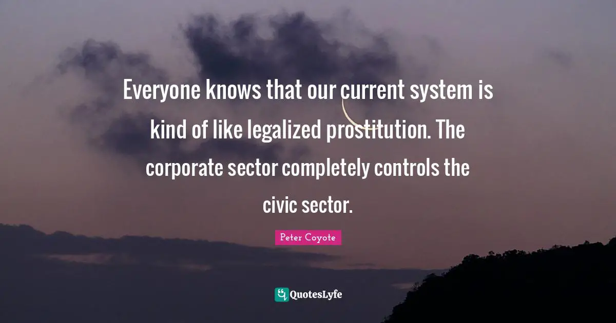 Everyone knows that our current system is kind of like legalized prostitution. The corporate sector completely controls the civic sector.