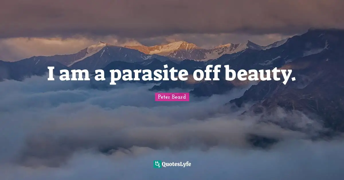 I am a parasite off beauty.