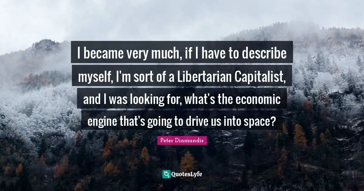 I became very much, if I have to describe myself, I'm sort of a Libertarian Capitalist, and I was looking for, what's the economic engine that's going to drive us into space?