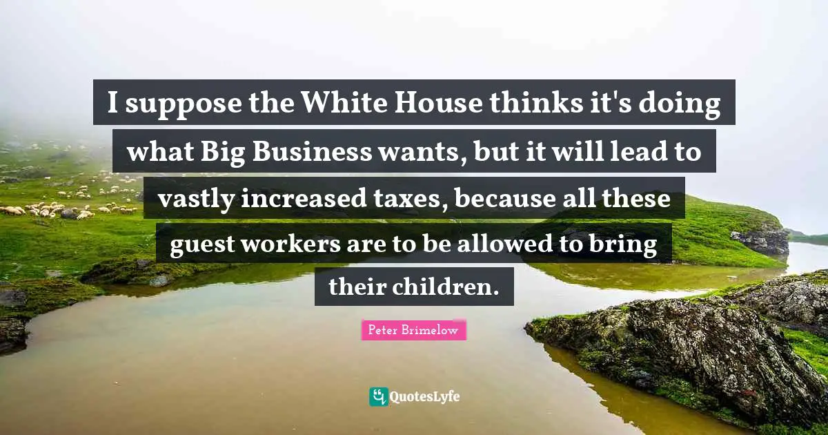 I suppose the White House thinks it's doing what Big Business wants, but it will lead to vastly increased taxes, because all these guest workers are to be allowed to bring their children.