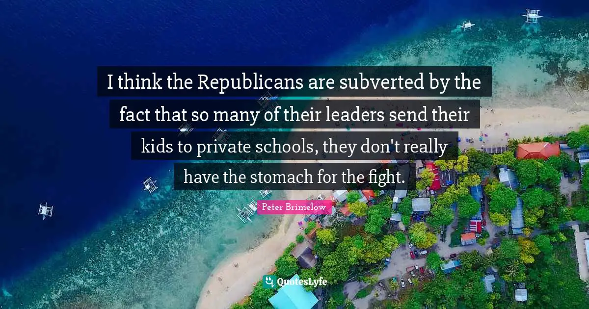 I think the Republicans are subverted by the fact that so many of their leaders send their kids to private schools, they don't really have the stomach for the fight.