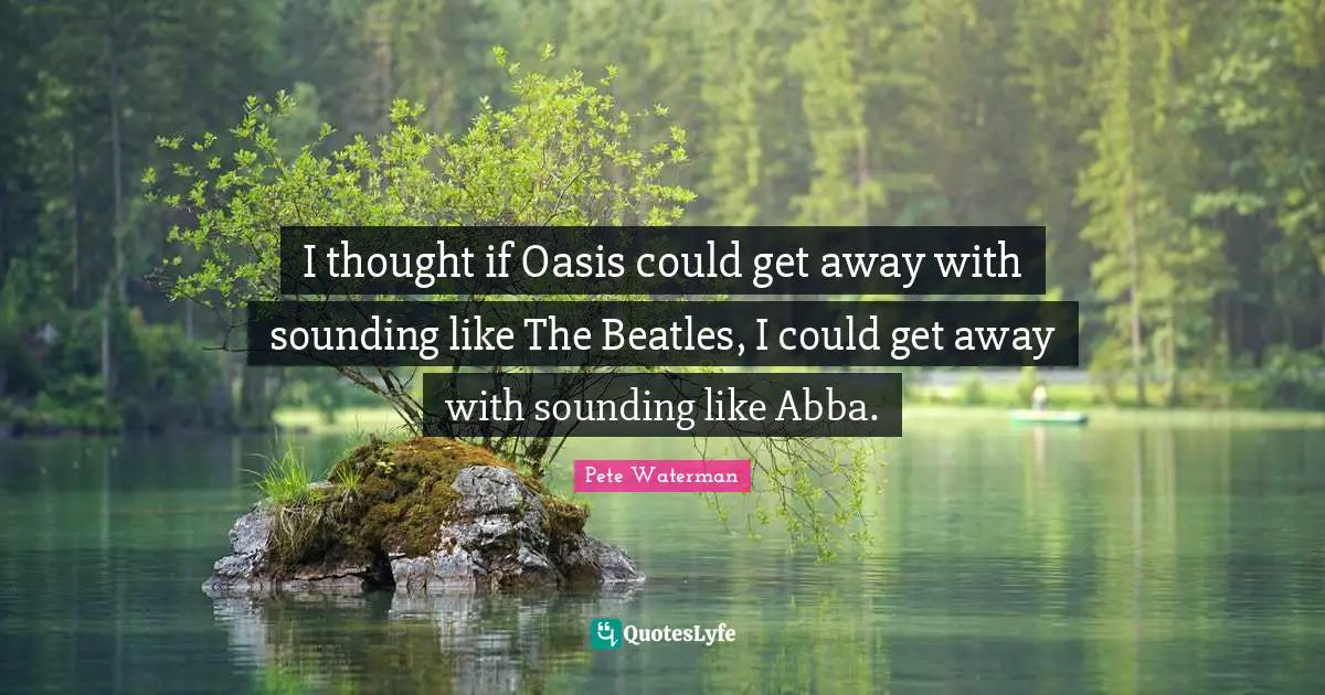 I thought if Oasis could get away with sounding like The Beatles, I could get away with sounding like Abba.