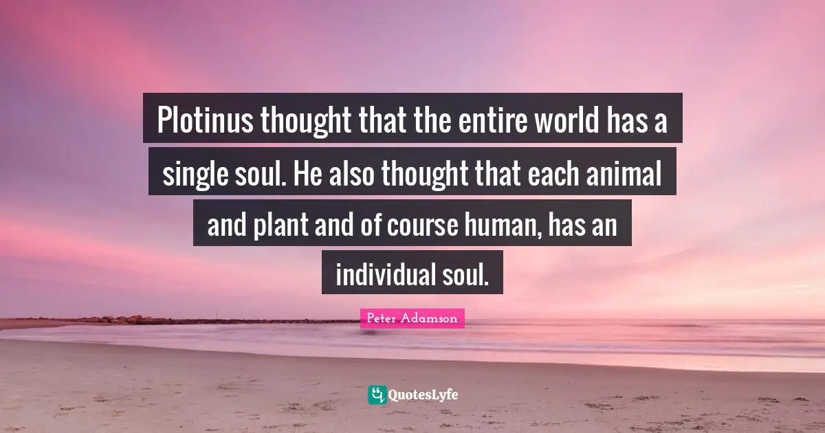 Plotinus thought that the entire world has a single soul. He also thought that each animal and plant and of course human, has an individual soul.