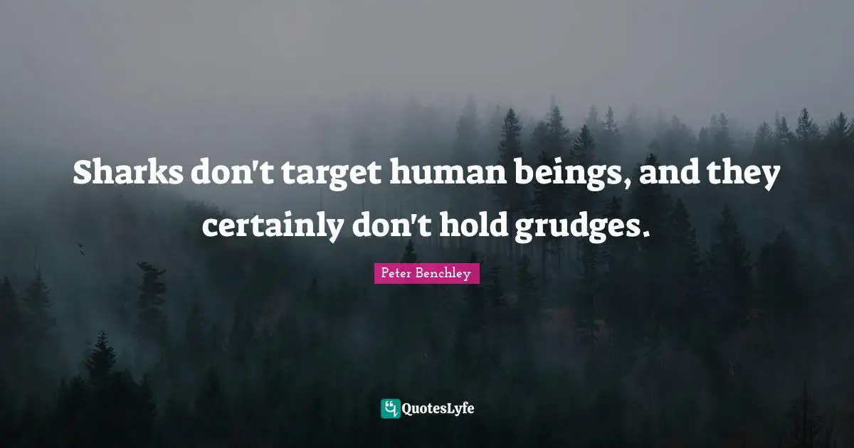 Sharks don't target human beings, and they certainly don't hold grudges.