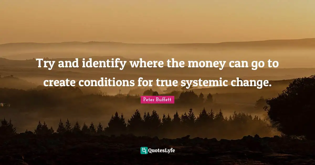 Peter Buffett Quotes: "Try and identify where the money can go to create conditions for true systemic change."