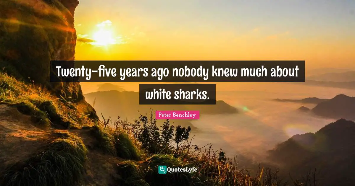 Twenty-five years ago nobody knew much about white sharks.