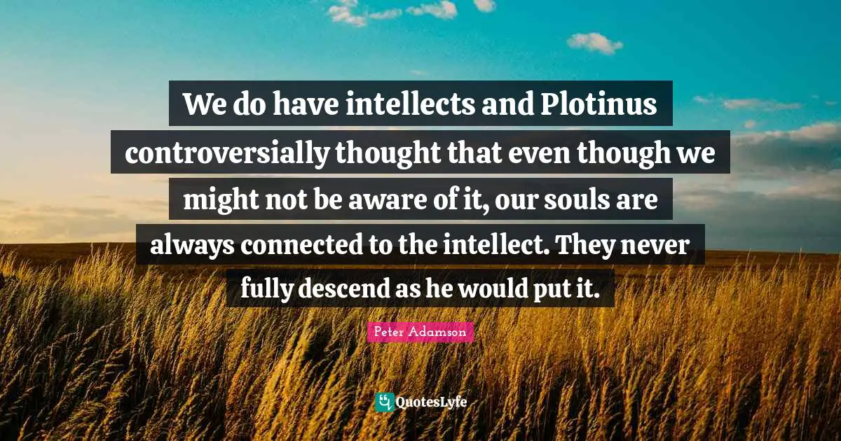 We do have intellects and Plotinus controversially thought that even though we might not be aware of it, our souls are always connected to the intellect. They never fully descend as he would put it.
