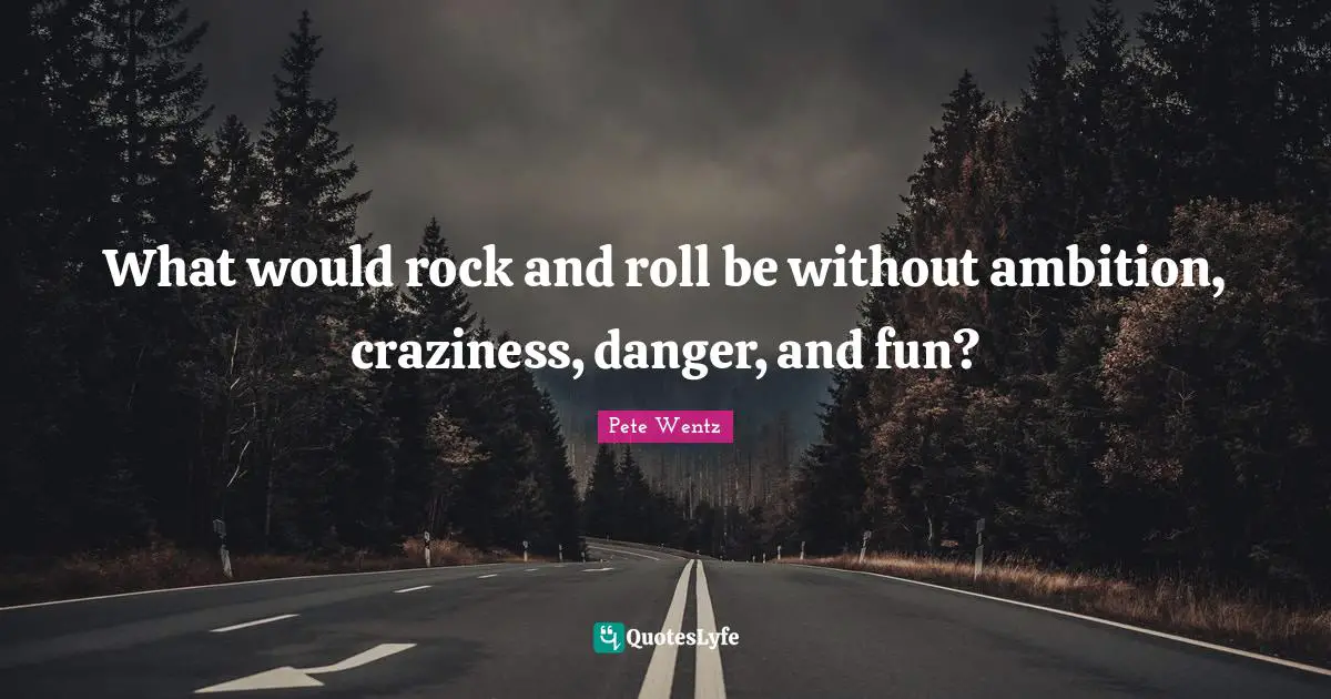 Craziness Quotes: "What would rock and roll be without ambition, craziness, danger, and fun?"