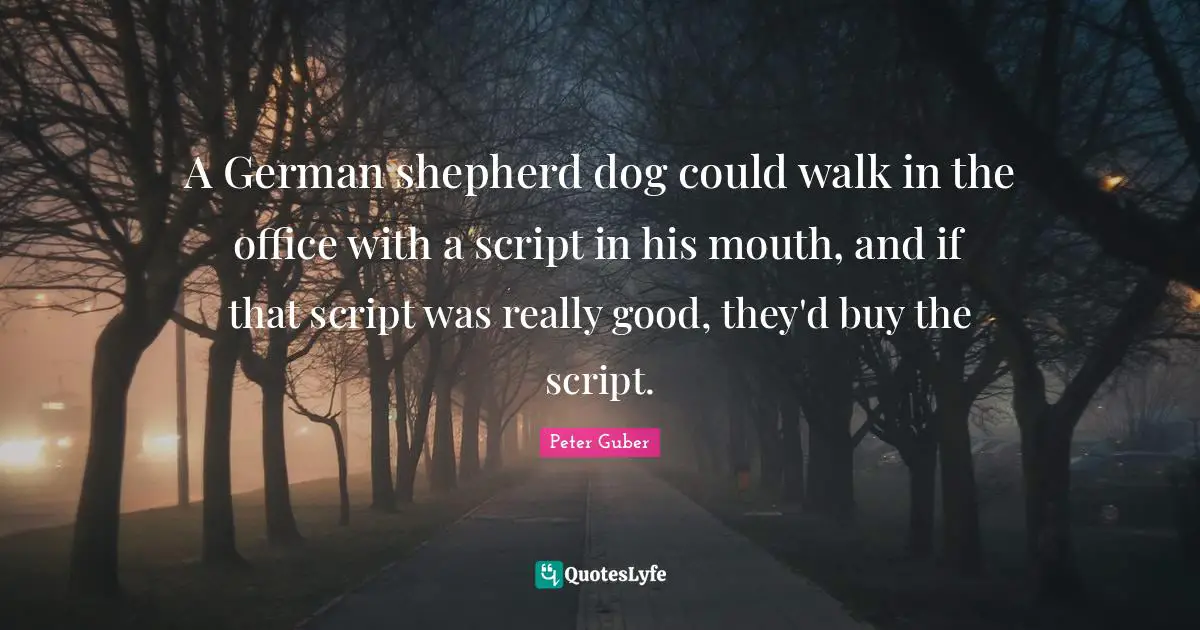 A German shepherd dog could walk in the office with a script in his mouth, and if that script was really good, they'd buy the script.