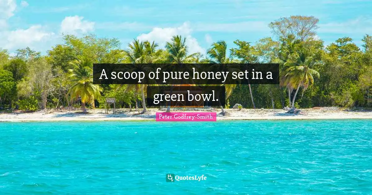 A scoop of pure honey set in a green bowl.