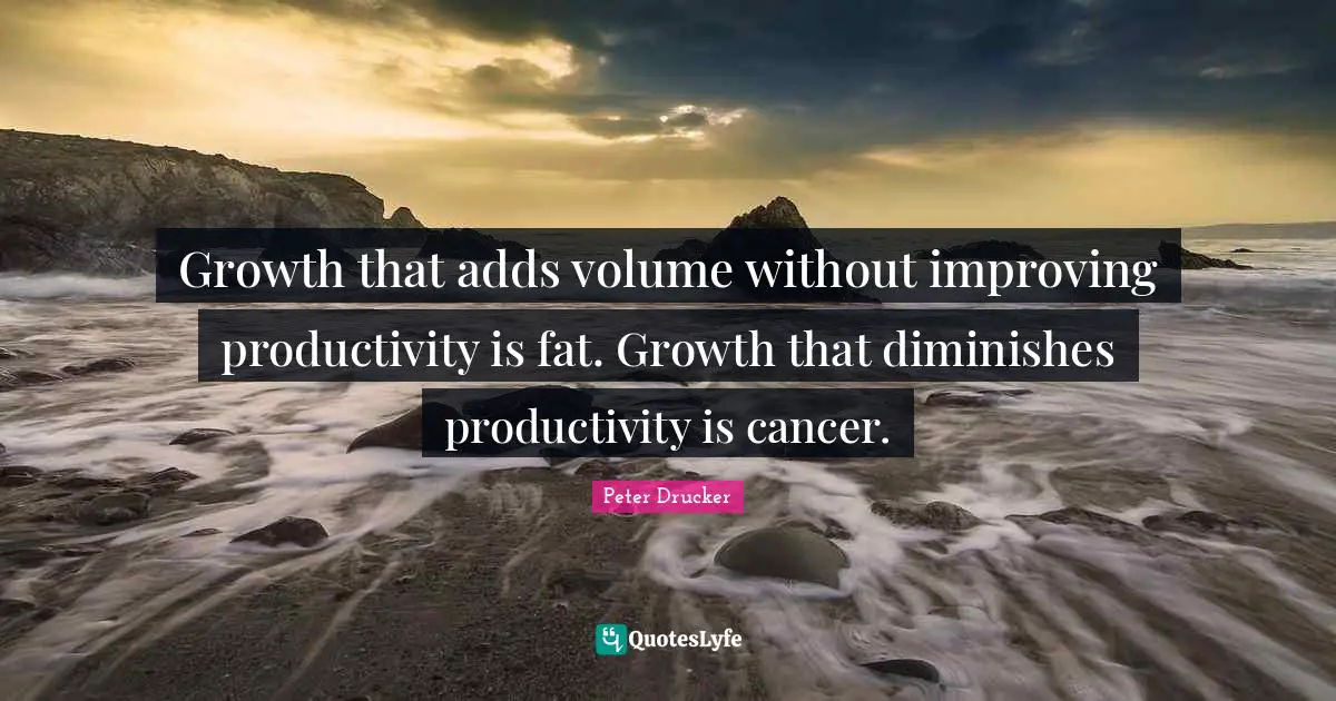 Growth that adds volume without improving productivity is fat. Growth that diminishes productivity is cancer.