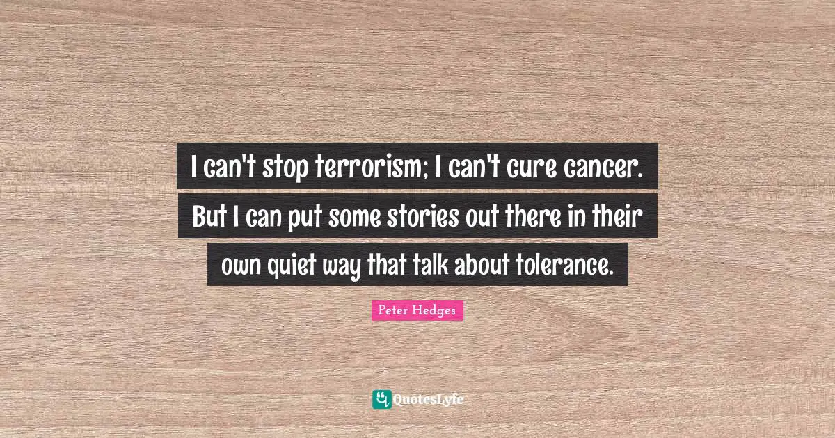 I can't stop terrorism; I can't cure cancer. But I can put some stories out there in their own quiet way that talk about tolerance.