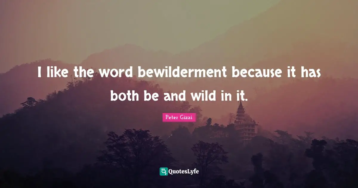I like the word bewilderment because it has both be and wild in it.