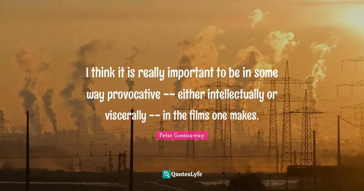 I think it is really important to be in some way provocative -- either intellectually or viscerally -- in the films one makes.