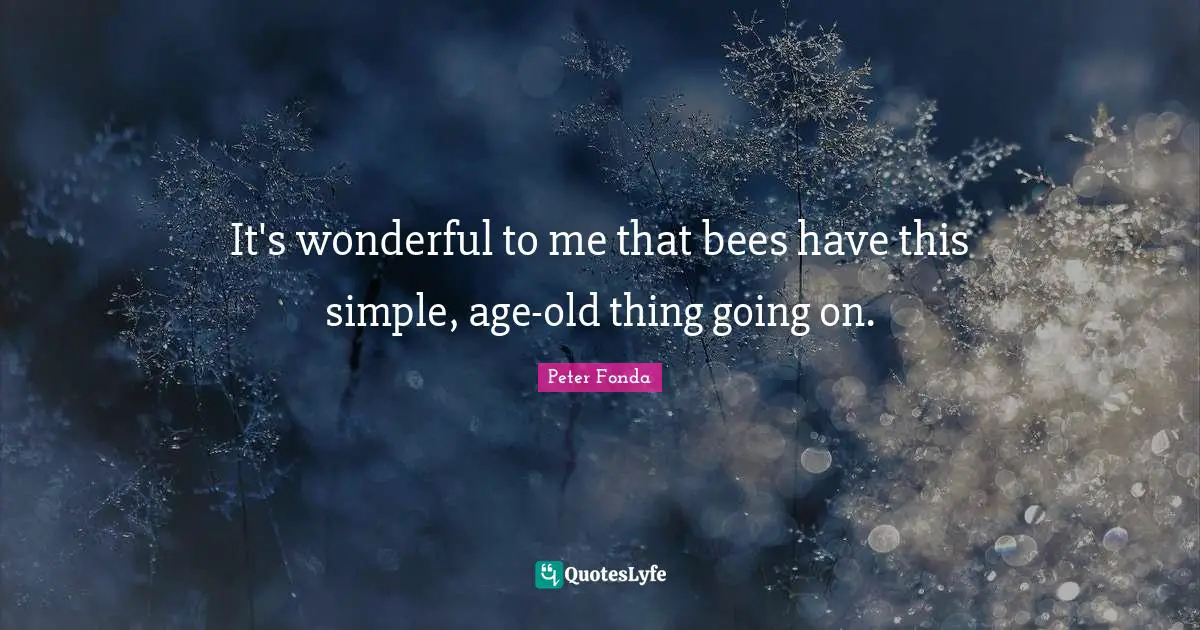 It's wonderful to me that bees have this simple, age-old thing going on.