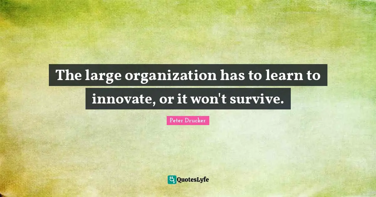 The large organization has to learn to innovate, or it won't survive.