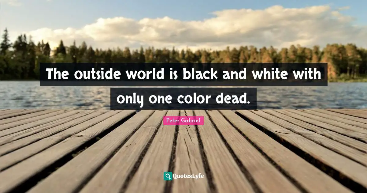 The outside world is black and white with only one color dead.