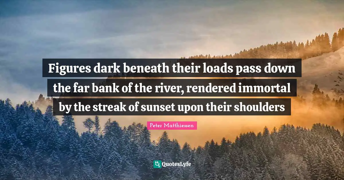 Peter Matthiessen Quotes: "Figures dark beneath their loads pass down the far bank of the river, rendered immortal by the streak of sunset upon their shoulders"