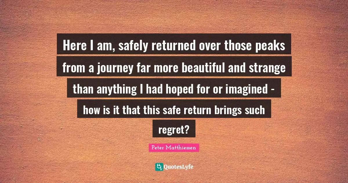 Peter Matthiessen Quotes: "Here I am, safely returned over those peaks from a journey far more beautiful and strange than anything I had hoped for or imagined - how is it that this safe return brings such regret?"