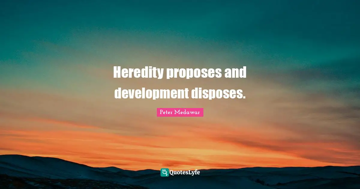 Heredity proposes and development disposes.