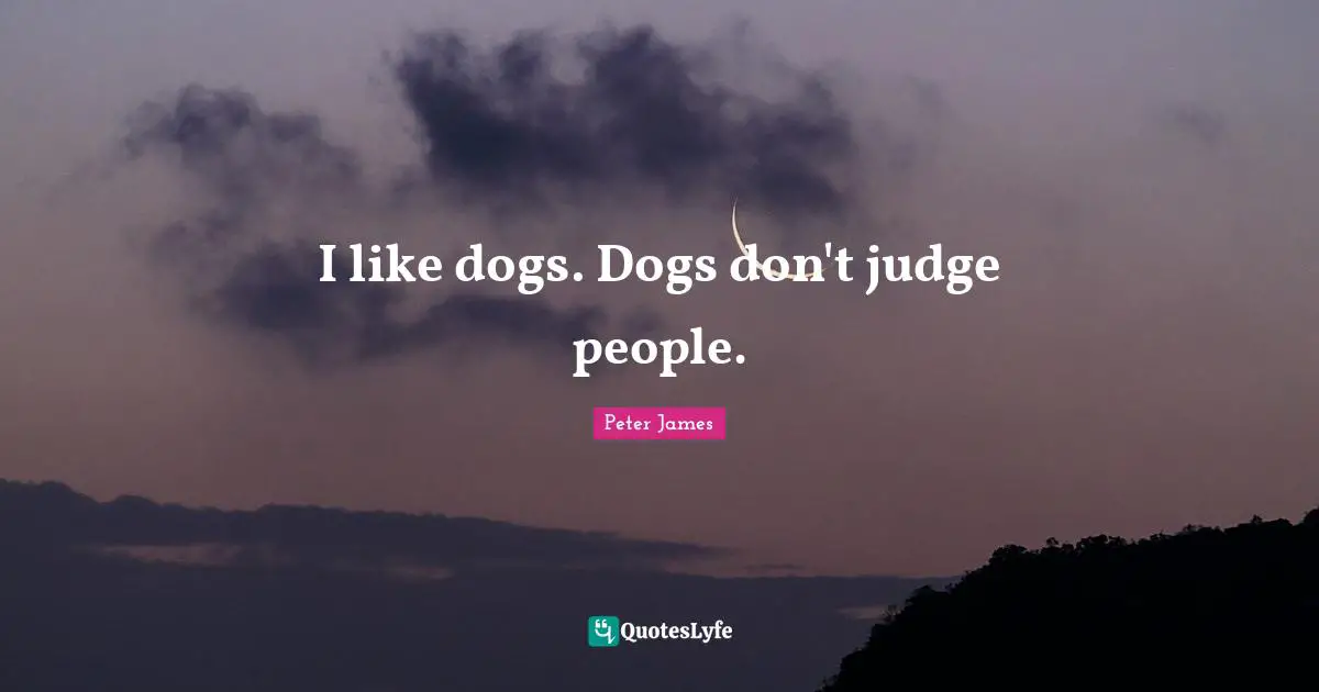 I like dogs. Dogs don't judge people.