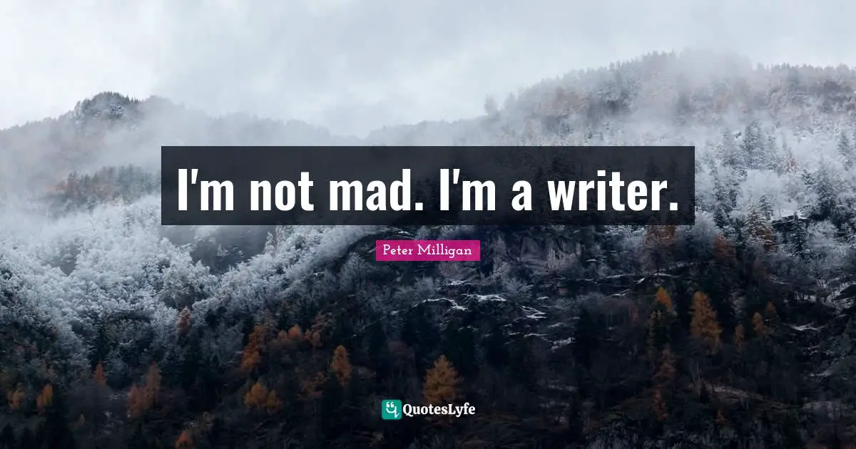 I'm not mad. I'm a writer.