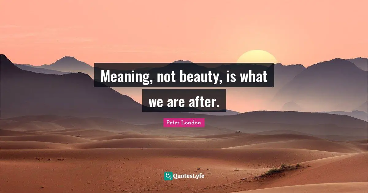 Meaning, not beauty, is what we are after.