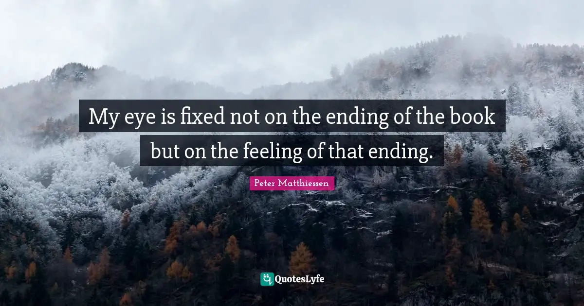 Peter Matthiessen Quotes: "My eye is fixed not on the ending of the book but on the feeling of that ending."