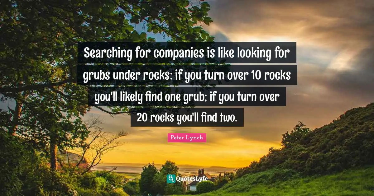 Searching for companies is like looking for grubs under rocks: if you turn over 10 rocks you'll likely find one grub; if you turn over 20 rocks you'll find two.