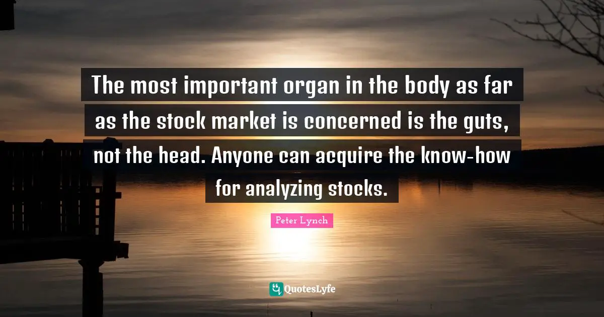 Analyzing Quotes: "The most important organ in the body as far as the stock market is concerned is the guts, not the head. Anyone can acquire the know-how for analyzing stocks."
