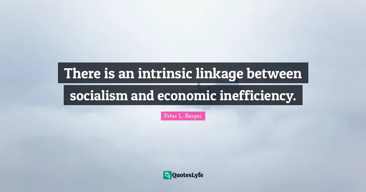 Inefficiency Quotes: "There is an intrinsic linkage between socialism and economic inefficiency."