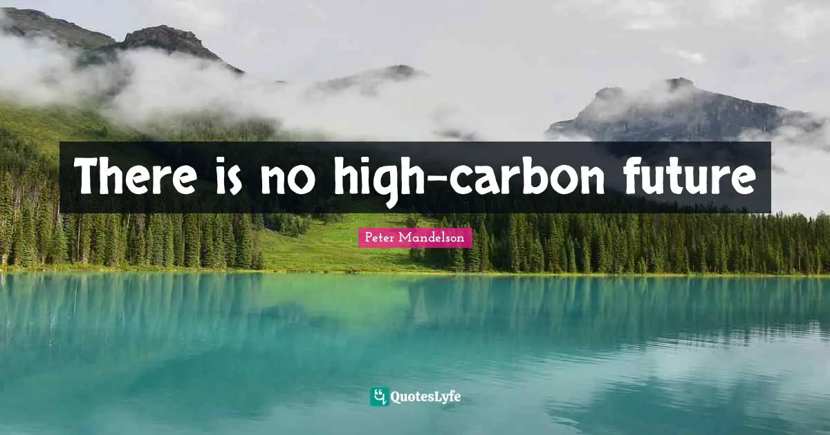 There is no high-carbon future
