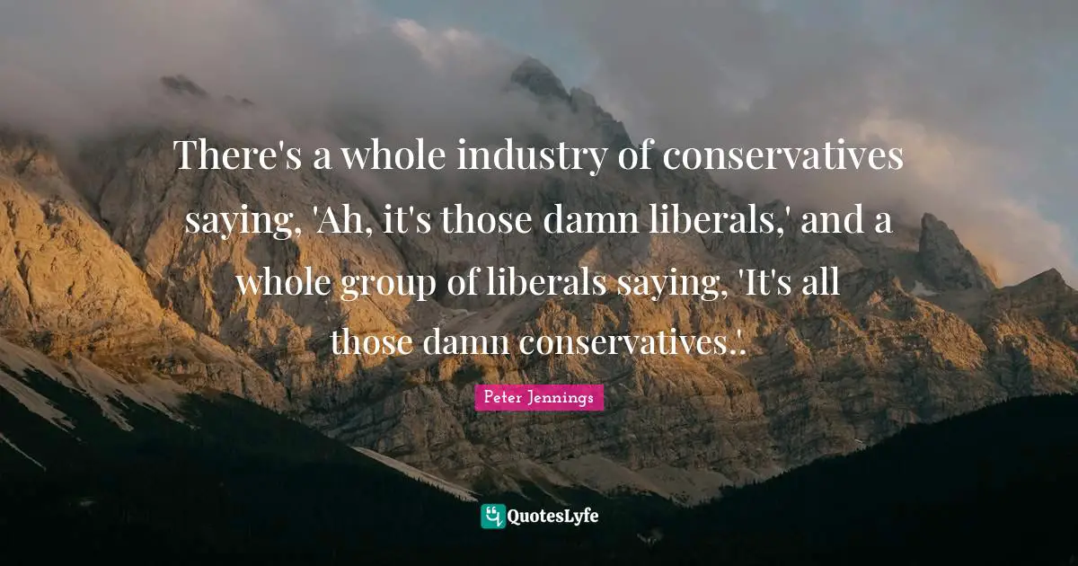 There's a whole industry of conservatives saying, 'Ah, it's those damn liberals,' and a whole group of liberals saying, 'It's all those damn conservatives.'.