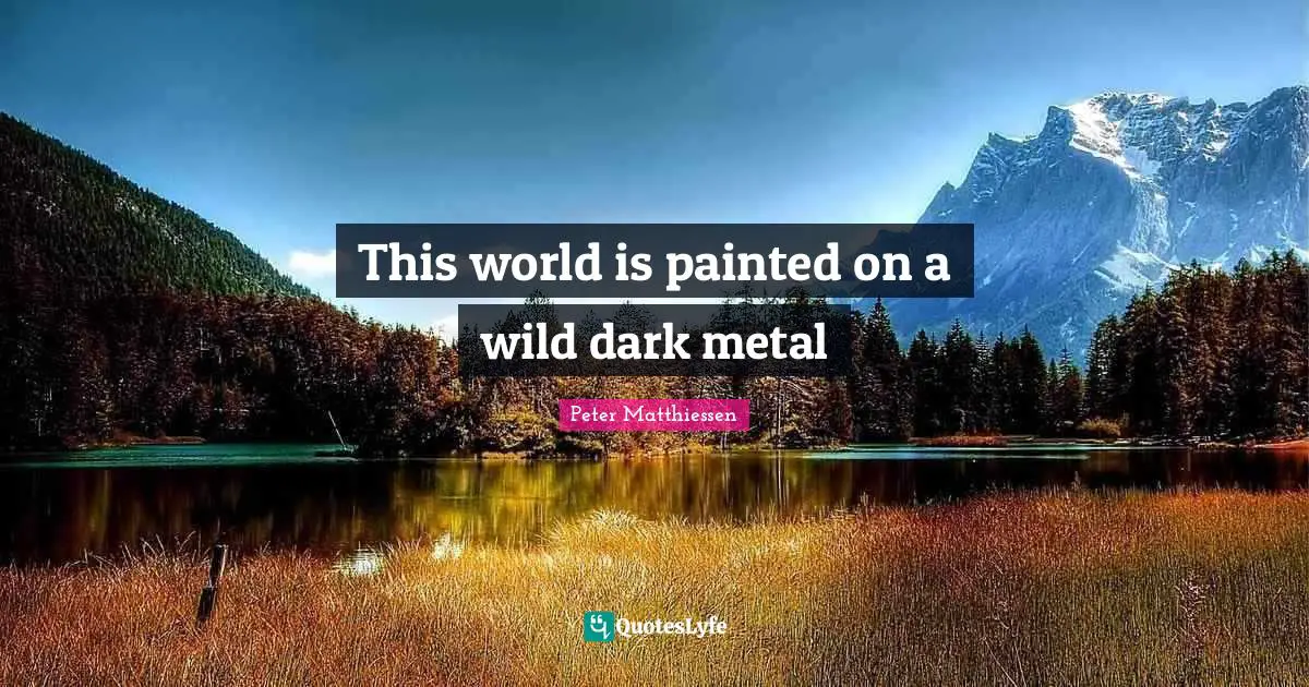 Peter Matthiessen Quotes: "This world is painted on a wild dark metal"