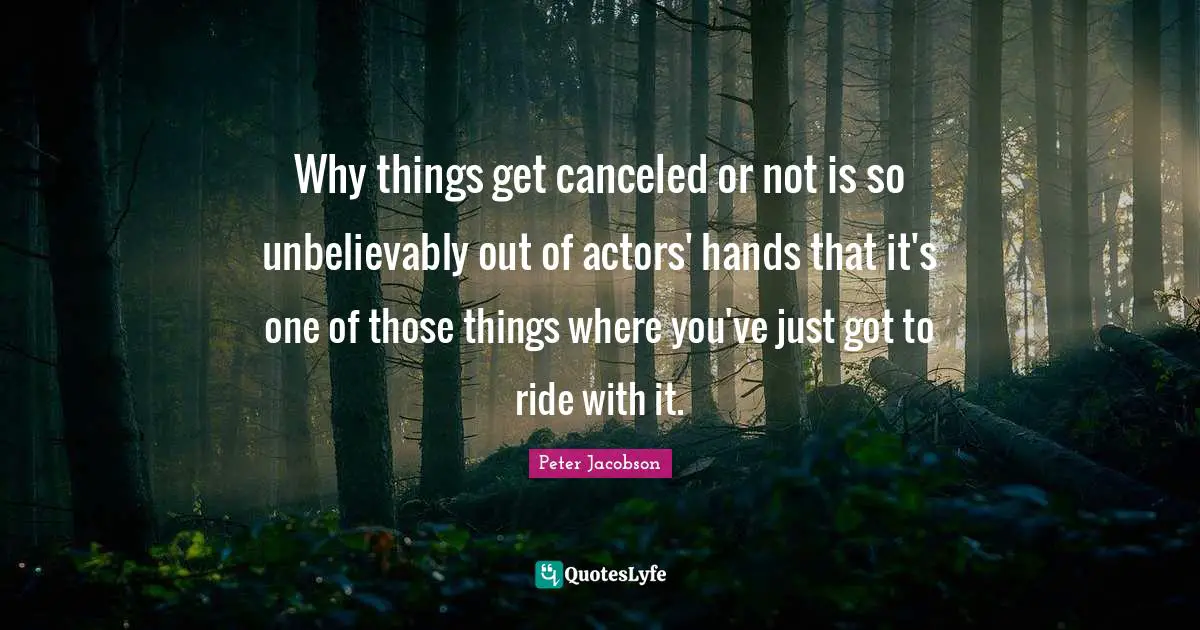 Why things get canceled or not is so unbelievably out of actors' hands that it's one of those things where you've just got to ride with it.