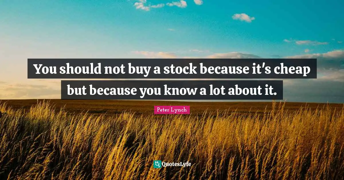You should not buy a stock because it's cheap but because you know a lot about it.