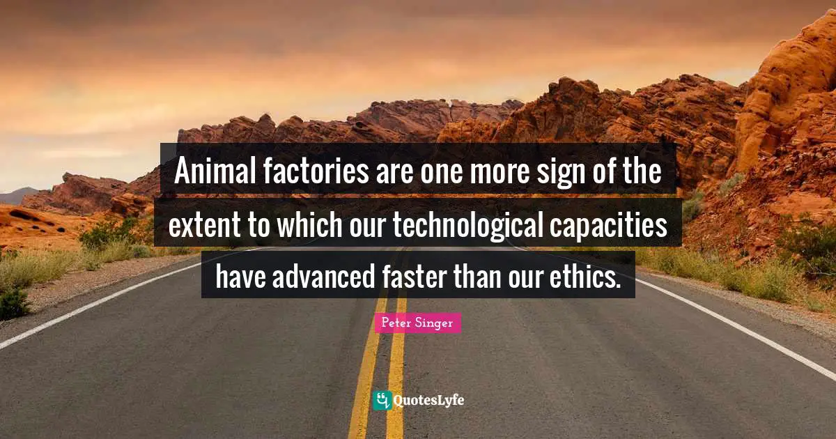 Animal factories are one more sign of the extent to which our technological capacities have advanced faster than our ethics.