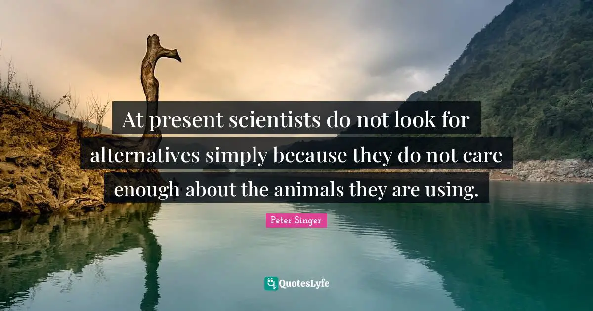 Peter Singer Quotes: "At present scientists do not look for alternatives simply because they do not care enough about the animals they are using."