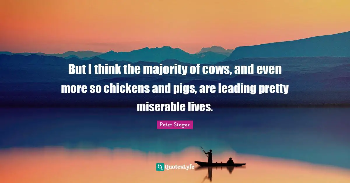 But I think the majority of cows, and even more so chickens and pigs, are leading pretty miserable lives.