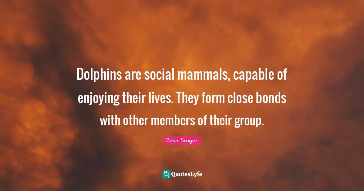 Dolphins are social mammals, capable of enjoying their lives. They form close bonds with other members of their group.