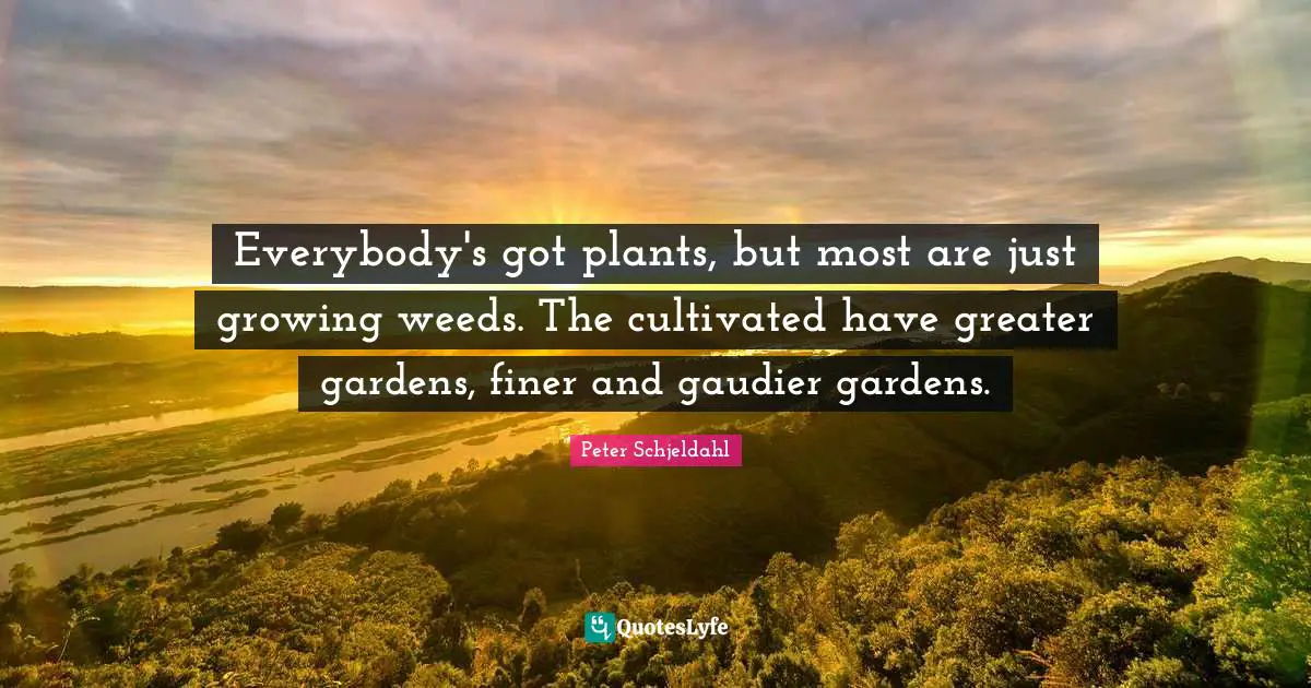 Everybody's got plants, but most are just growing weeds. The cultivated have greater gardens, finer and gaudier gardens.