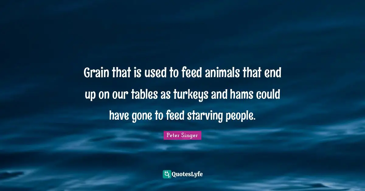 Grain that is used to feed animals that end up on our tables as turkeys and hams could have gone to feed starving people.