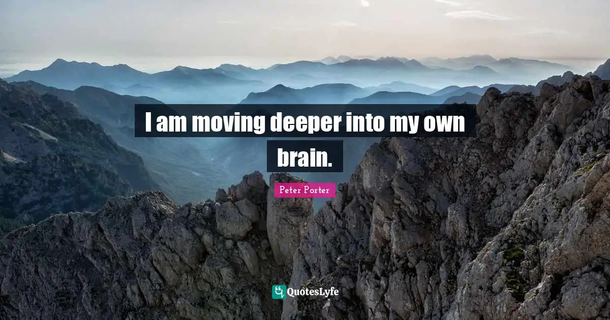 I am moving deeper into my own brain.