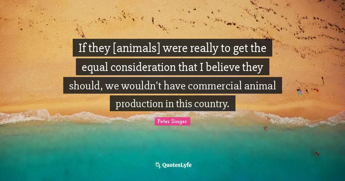 If they [animals] were really to get the equal consideration that I believe they should, we wouldn't have commercial animal production in this country.