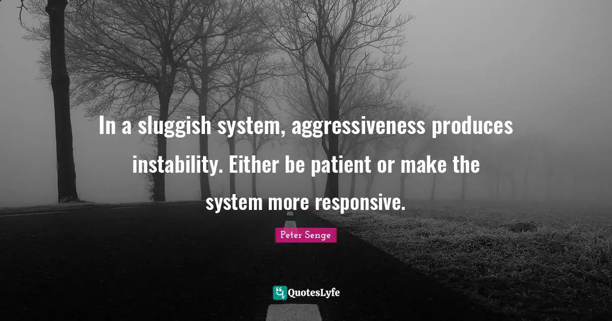 Sluggish Quotes: "In a sluggish system, aggressiveness produces instability. Either be patient or make the system more responsive."