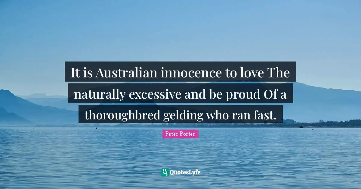 It is Australian innocence to love The naturally excessive and be proud Of a thoroughbred gelding who ran fast.