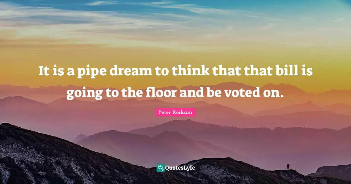 It is a pipe dream to think that that bill is going to the floor and be voted on.