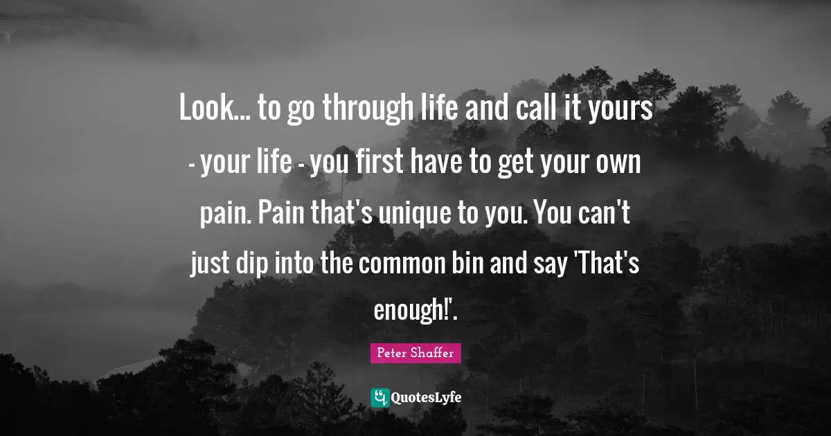 Look... to go through life and call it yours - your life - you first have to get your own pain. Pain that's unique to you. You can't just dip into the common bin and say 'That's enough!'.