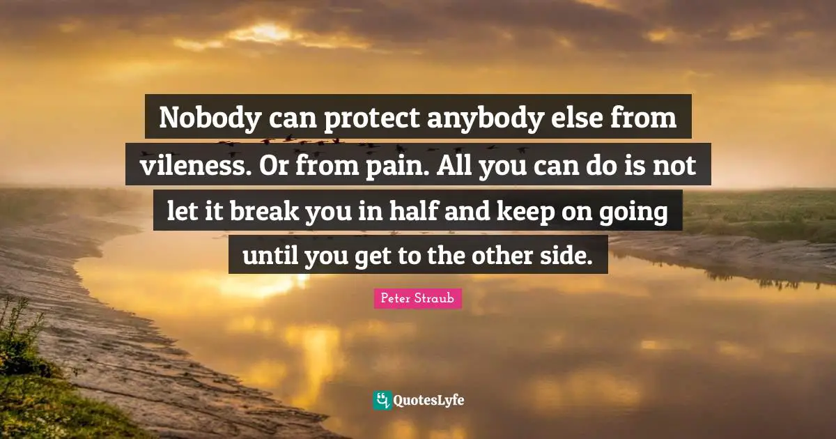 Nobody can protect anybody else from vileness. Or from pain. All you can do is not let it break you in half and keep on going until you get to the other side.
