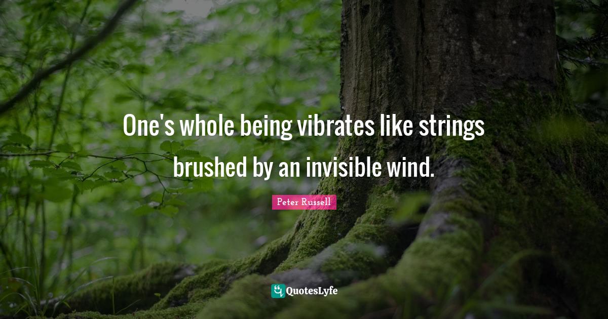 One's whole being vibrates like strings brushed by an invisible wind.... Quote by Peter Russell